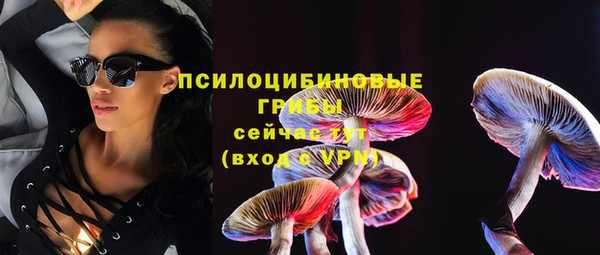 индика Алексеевка
