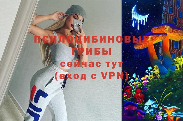 бутират Арсеньев
