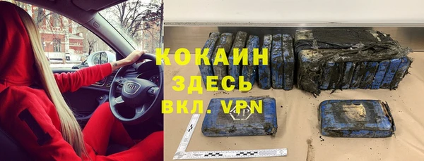 индика Алексеевка