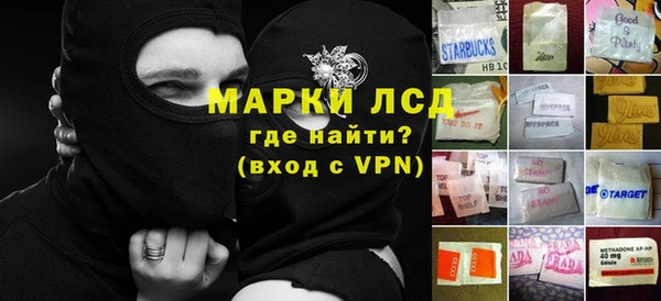 прущие грибы Алексин